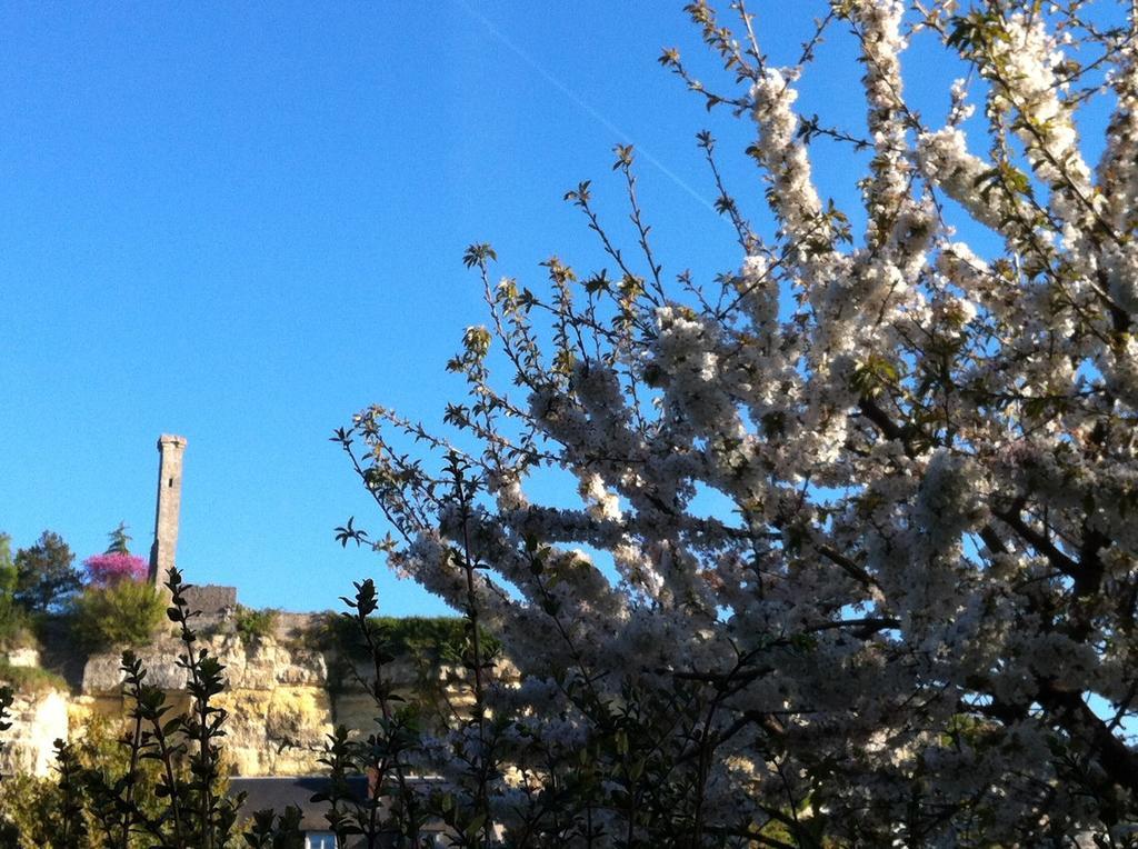 Loire Valley Medieval Getaway Rochecorbon Kamer foto