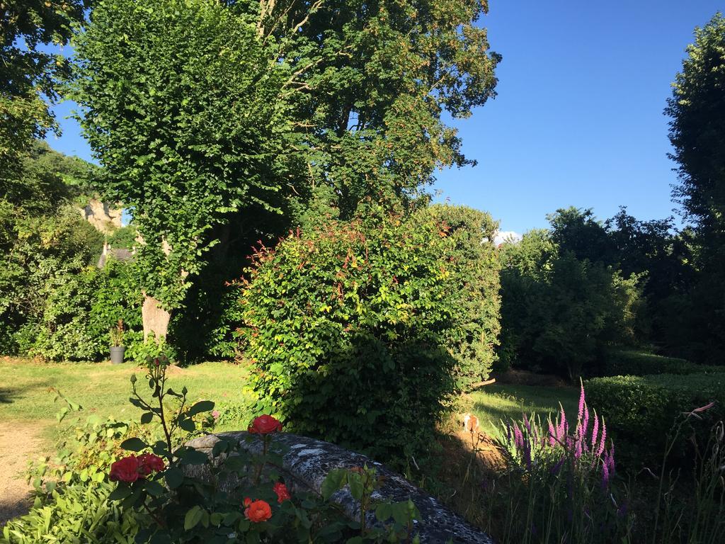 Loire Valley Medieval Getaway Rochecorbon Buitenkant foto