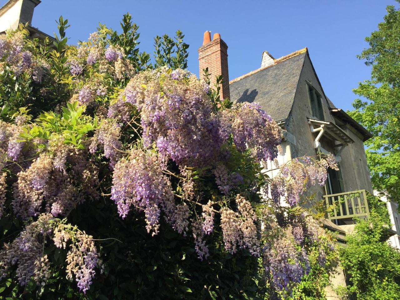 Loire Valley Medieval Getaway Rochecorbon Buitenkant foto