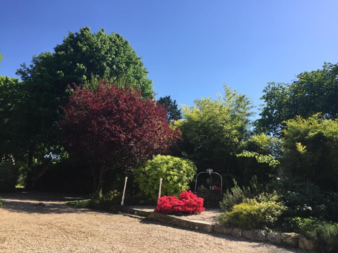 Loire Valley Medieval Getaway Rochecorbon Buitenkant foto